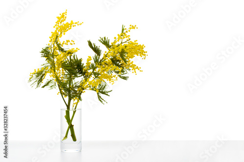Two branches of mimosa in a glass vase isolated on a white background. Spring Flower. Women's Day. Copy space.
