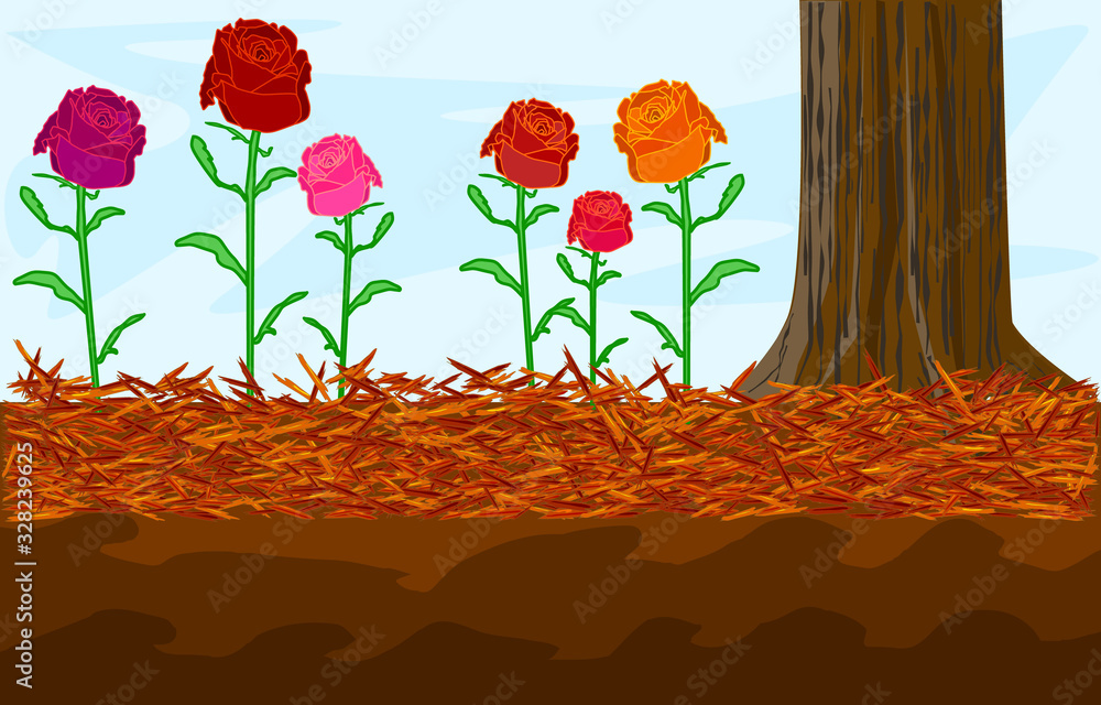 Mulch gardening concept with roses, red mulch and tree trunk. Landscape