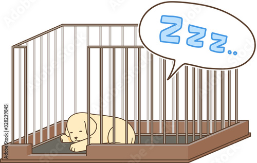 ゴールデンレトリバーの子犬（サークルの中で寝る2）