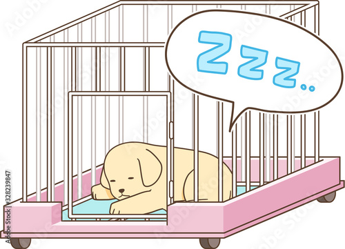 ゴールデンレトリバーの子犬（サークルの中で寝る）