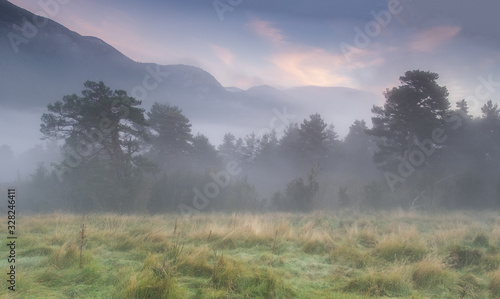 Amanecer en medio del campo con niebla y arboleda.