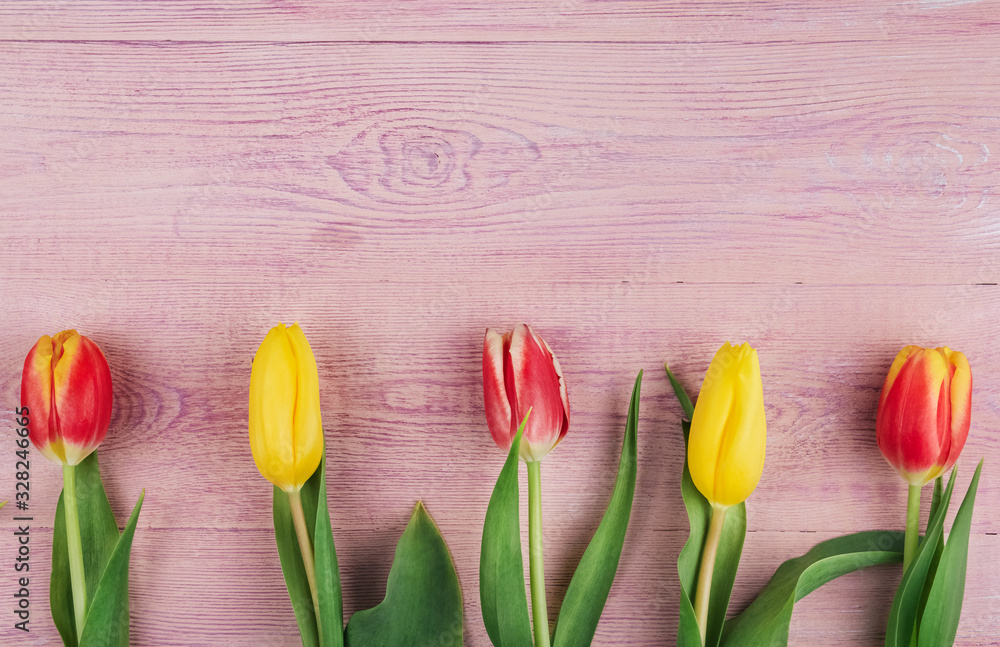 Yellow, red and pink tulips on a pink wooden background copy space.