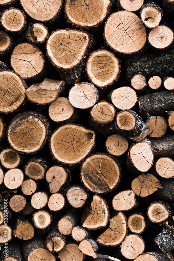 Variety of cut wooden tree trunks background Variety of cut wooden tree trunks background
