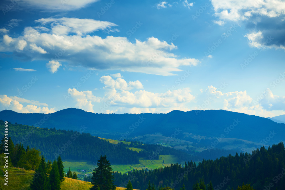 Fototapeta premium nature, beautiful cloudy sky, summer landscape in carpathian mountains, wildflowers and meadow, spruces on hills