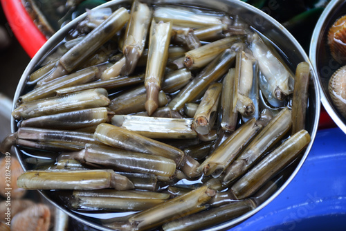 Razor clam Sell in fresh seafood market