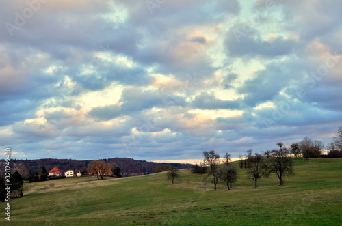 Steinhirt in Steinheim am Albuch photo