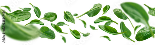 Photos Green spinach leaves levitate on a white background