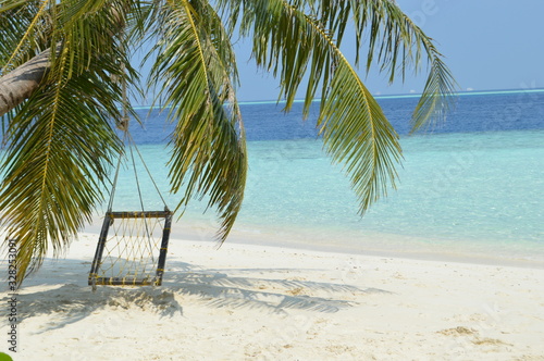 tropical beach with palm trees