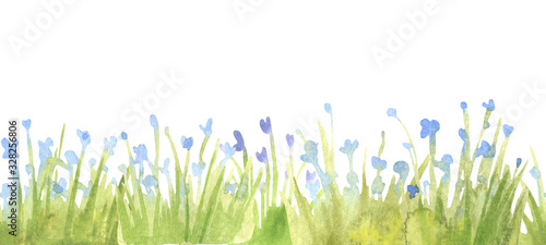 Fresh green grass seamless border.Watercolor hand drawn painting illustration isolated on a white background. Summer grassy element for design  nature landscape. Organic  bio  eco label and shape.