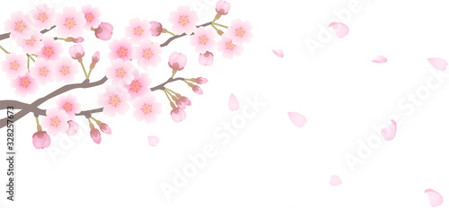 桜