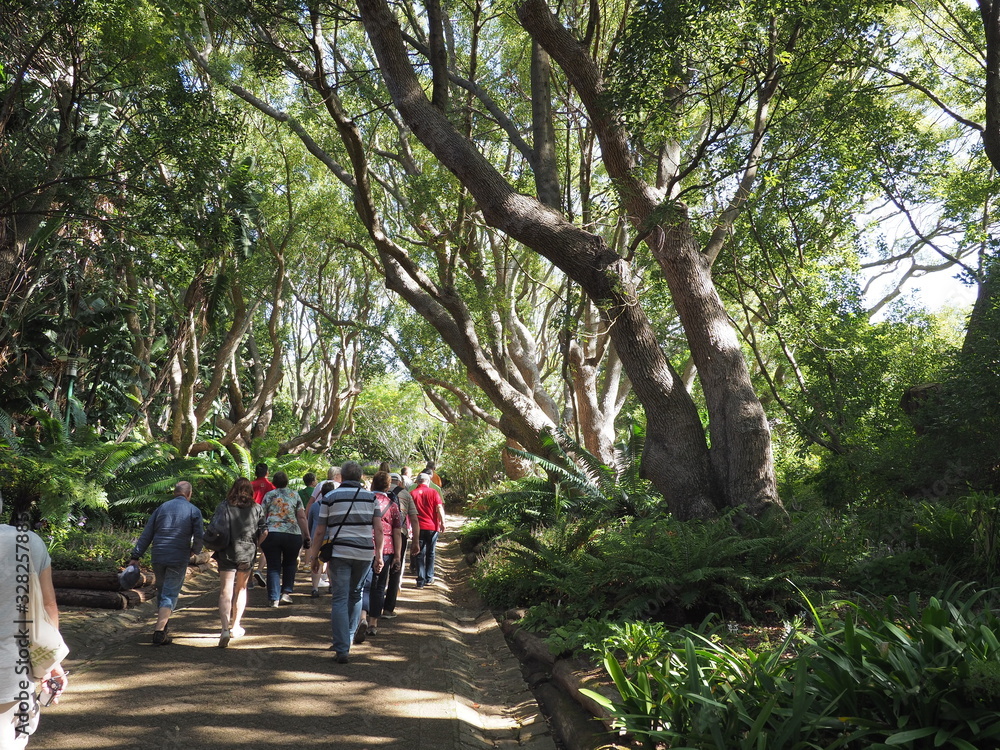 Nationaler Botanischer Garten Kirstenbosch - im Stadtteil Newlands von Kapstadt 