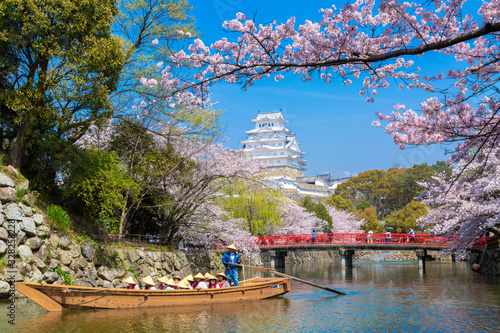 姫路城と桜