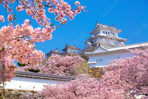 姫路城と桜 photo