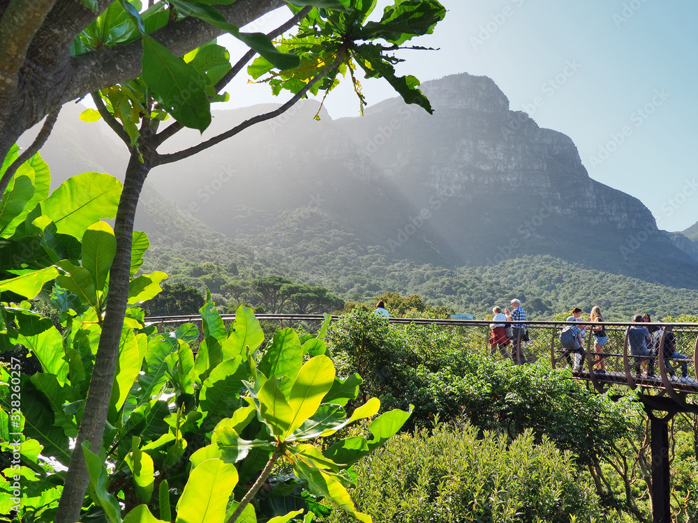Nationaler Botanischer Garten Kirstenbosch - im Stadtteil Newlands von Kapstadt