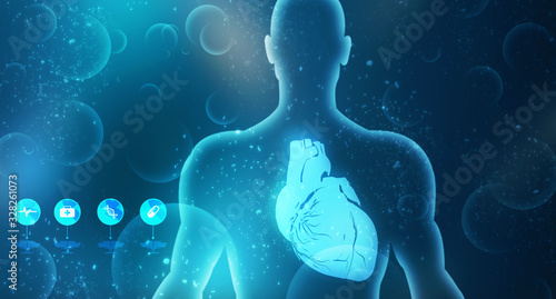 2d illustration Anatomy of Human Heart 