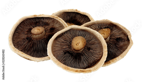 Group of fresh raw Forestiere mushrooms isolated on a white background