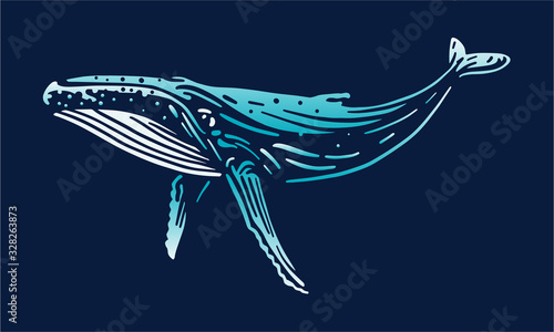 humpback whale on dark background