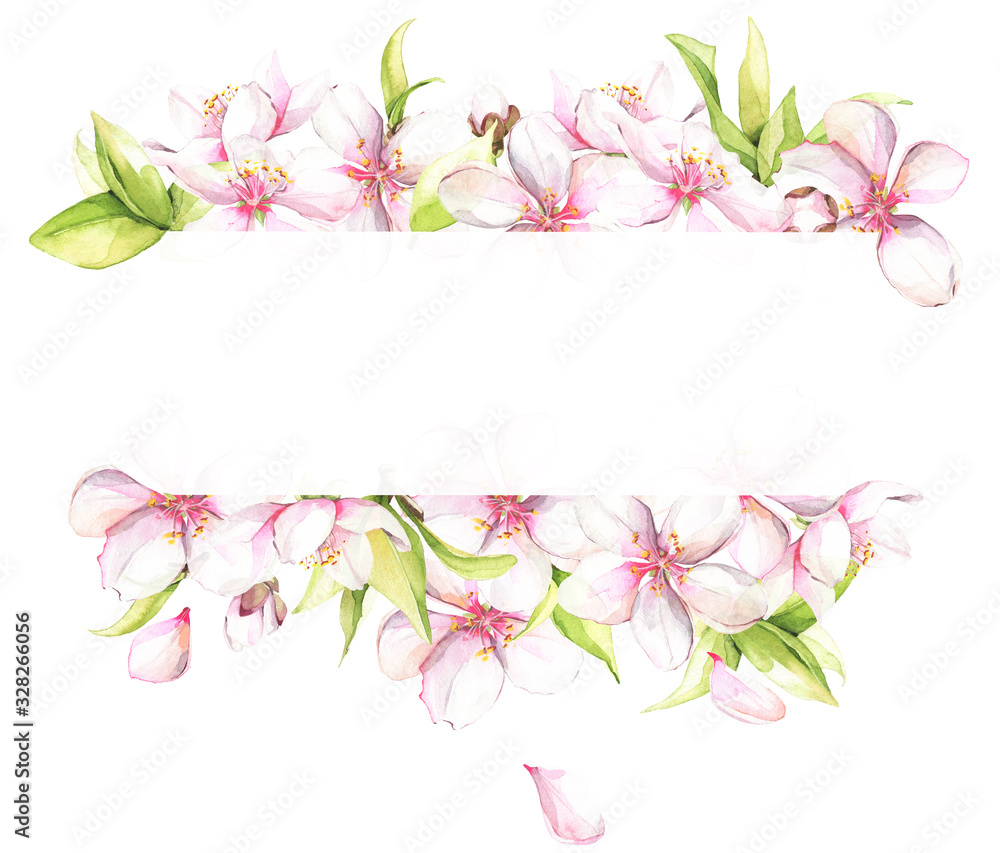 Watercolor painted white cherry blossoms. Isolated floral frame arrangement illustration.