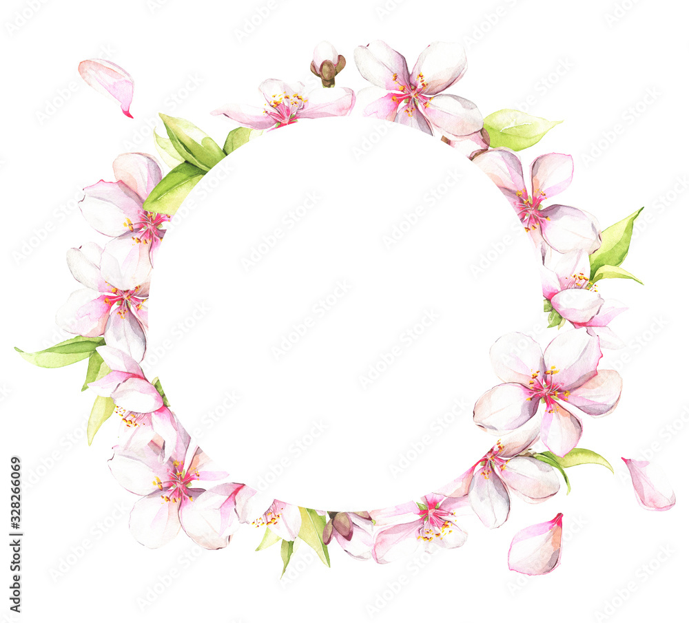 Watercolor painted white cherry blossoms. Isolated floral wreath arrangement illustration.