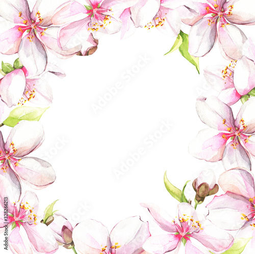 Watercolor painted white cherry blossoms. Isolated floral frame arrangement illustration.