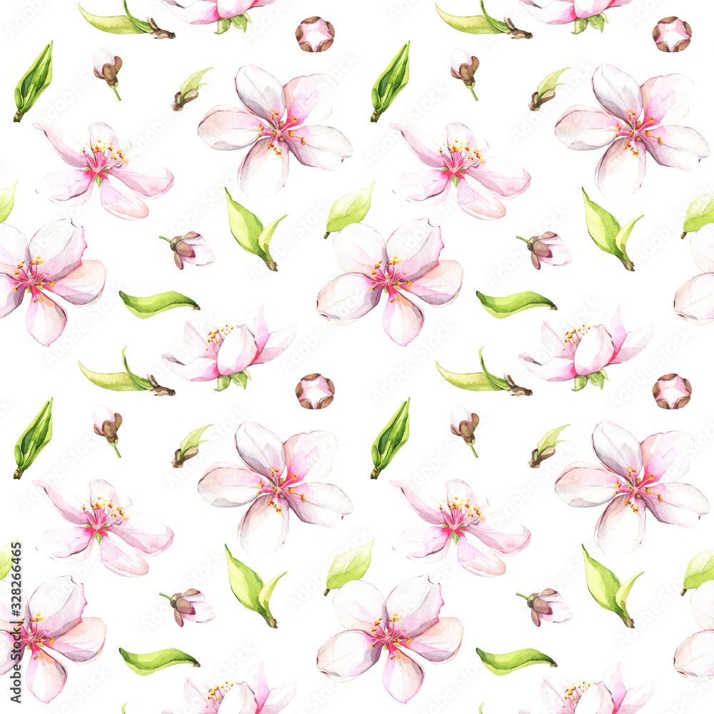 Watercolor painted white cherry blossoms seamless pattern.