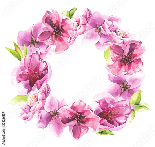 Watercolor painted pink cherry blossoms. Floral wreath. Arrangement illustration.