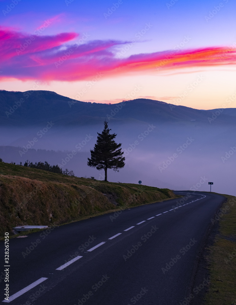Tree and mountain road at sunset, Aiako Harriak Natural Park, Euskadi