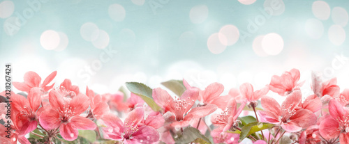 Dekoracja na wymiar  piekny-rozowy-wiosna-kwiat-rama-na-tle-bokeh-ogrod-z-kwiatem-kwitnacym-na-niebieskim-niebie-kwiatowy-wzor-obramowania