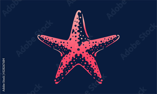 starfish on dark background