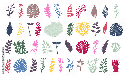 Set of seaweeds and coral reef underwater plans. Aquarium, ocean and marine algae water plants, colored corals isolated on white. Seaweeds polyps silhouettes. Vector laminaria kelp and other.