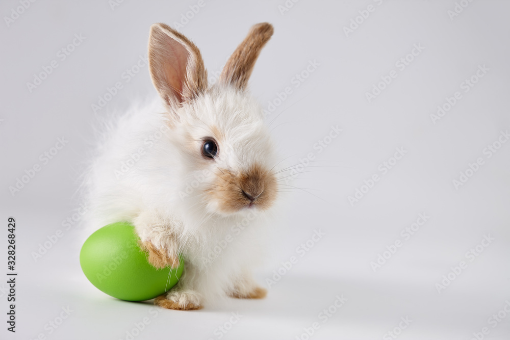 Easter bunny rabbit with egg on gray background Easter bunny rabbit with egg on gray background