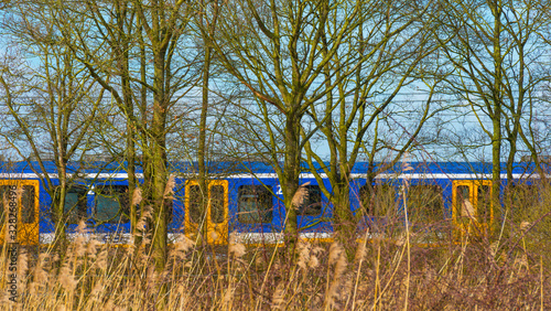 Train riding along a field in wetland below a blue sky in winter in natural park Oostvaardersplassen  © Naj