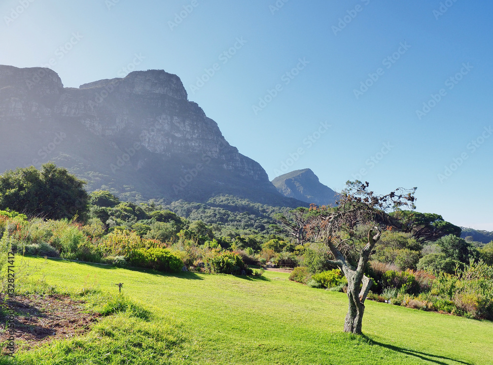 Nationaler Botanischer Garten Kirstenbosch - im Stadtteil Newlands von Kapstadt