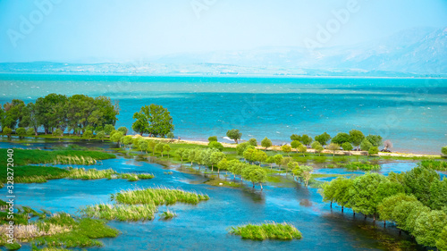 landscape with lake