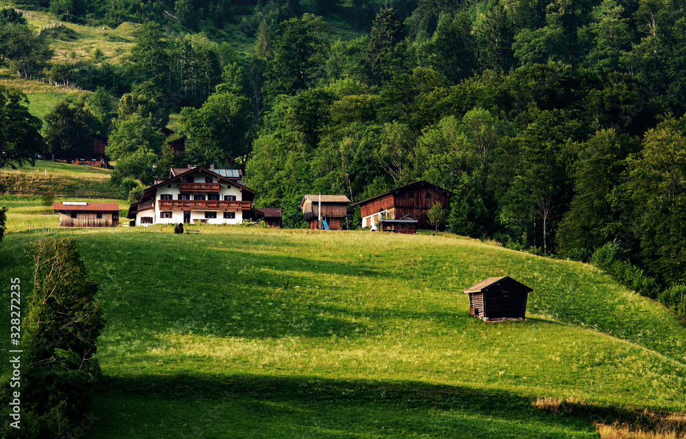 Alpenhof in den Bergen mit grünem Wiesenhang und Wäldern Alpenhof in den Bergen mit grünem Wiesenhang und Wäldern