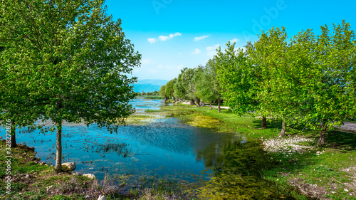 e  irdir lake in the forest
