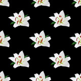 Seamless pattern of white lily flowers on black background isolated close up, blooming lilly flower repeating ornament, lillies trendy print, lilies blossom backdrop, elegant design, floral wallpaper