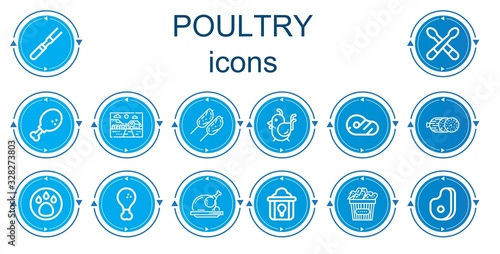 Editable 14 poultry icons for web and mobile
