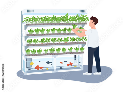 Man and domestic greenhouse, gardener flat color vector faceless character. Plants and fishes care, greenery growing isolated cartoon illustration for web graphic design and animation