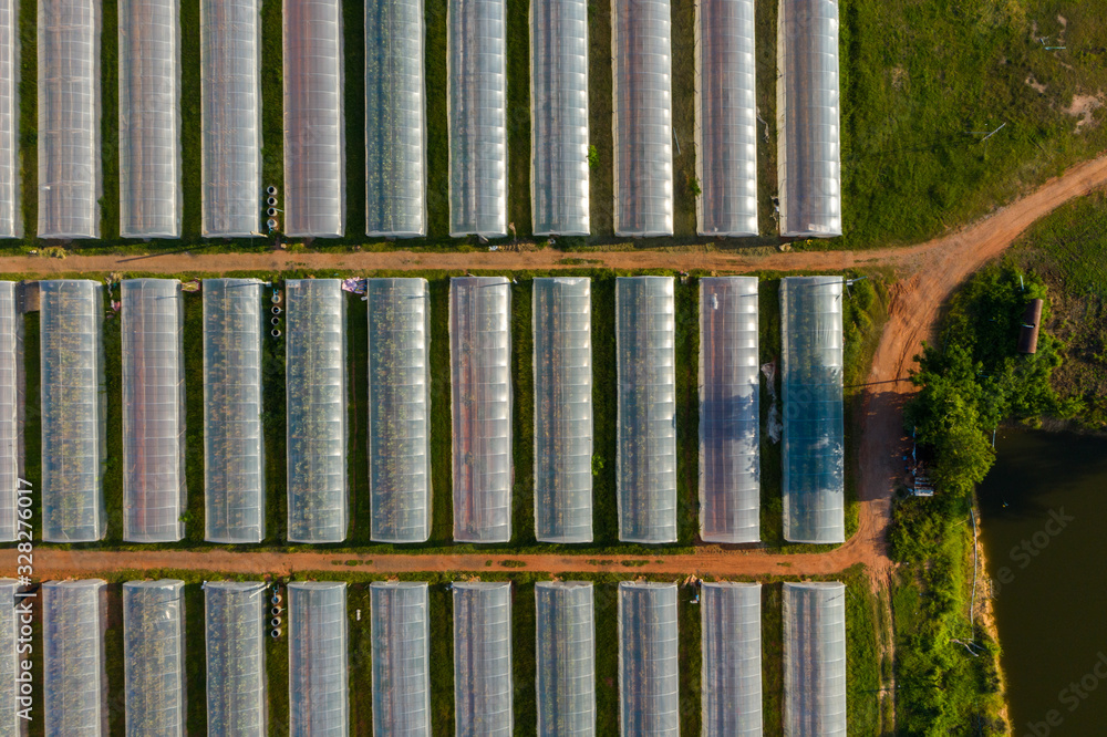 Obraz premium Glass houses on agriculture field