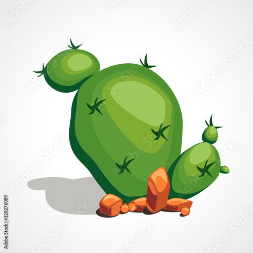 Cartoon desert green round cactus. Vector illustration.