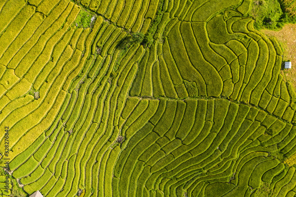 Aerial view of terrace farming