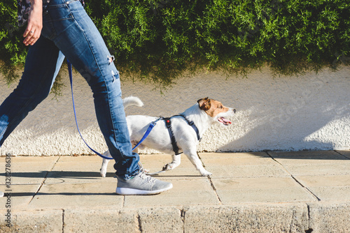 Dog walker walking fast with her pet on leash at street pavement  photo