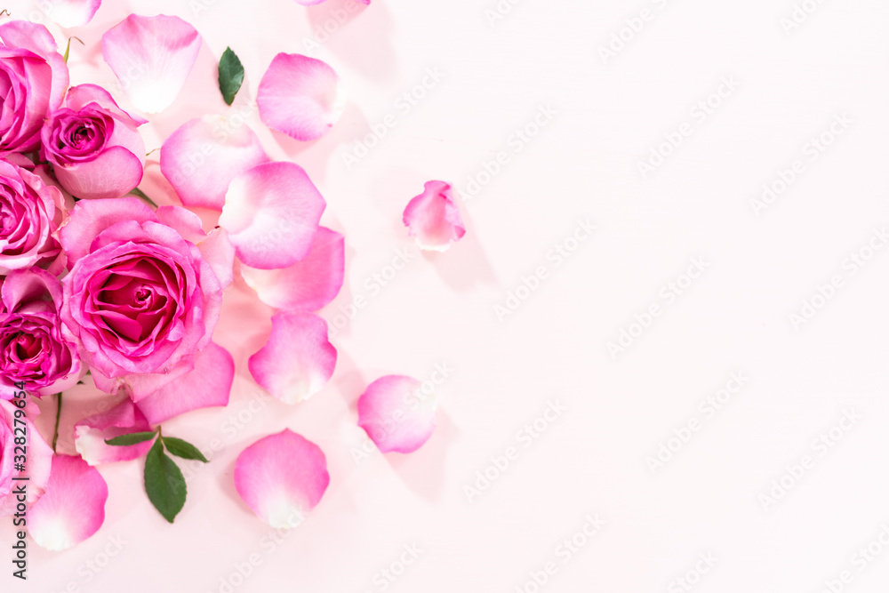 Pink roses