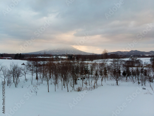 Winter landscape photo of snow covered farm fields and bare trees with the majestic Mount Yotei in the background