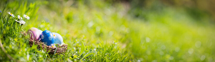 Nest with easter eggs in grass on a sunny spring day - Easter decoration, banner, panorama, background