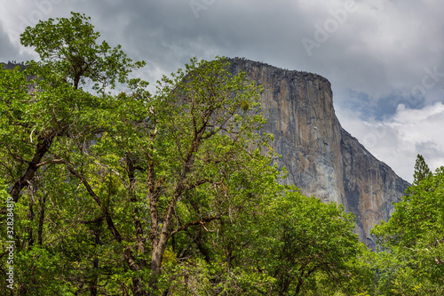 View of the El Capitan, vertical rock formation in Yosemite National Park, California, USA.