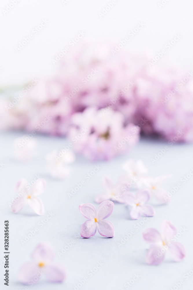 Lilac flowers on gray background. Selective focus. Spa or holiday background