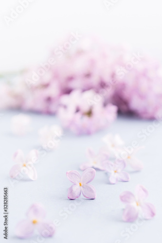 Lilac flowers on gray background. Selective focus. Spa or holiday background