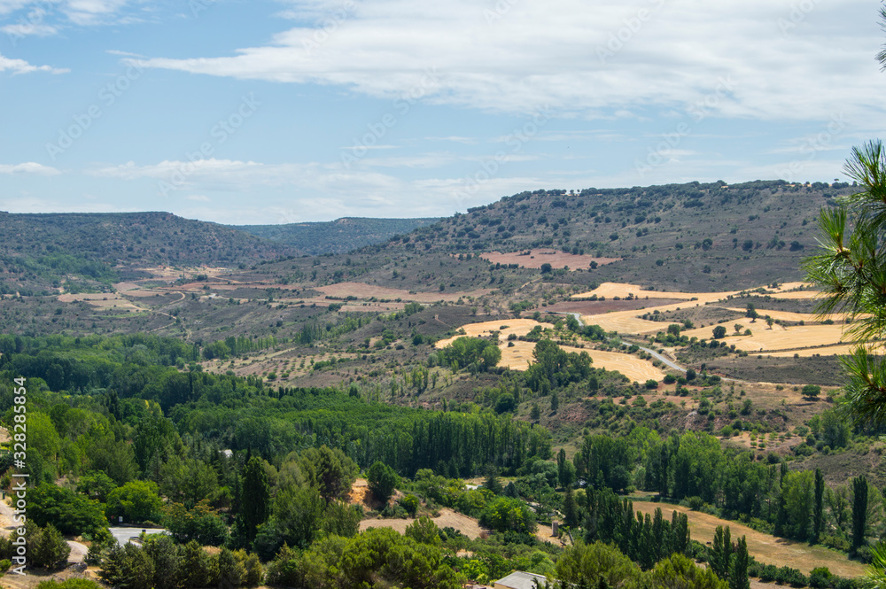 Field with trees in summer in Brihuega, Guadalajara province, Castilla La Mancha, Spain